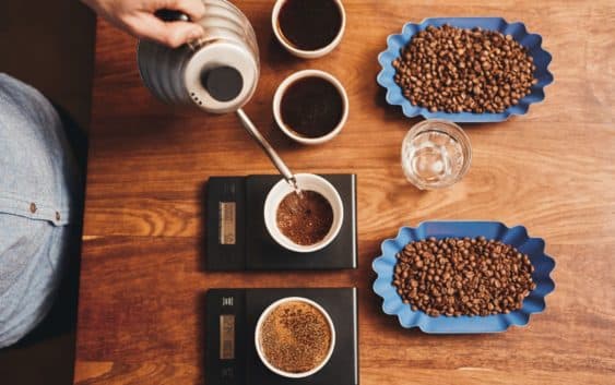 Kaffeeverkostung zur Auswahl von Bohnen durch sensorische Bewertung